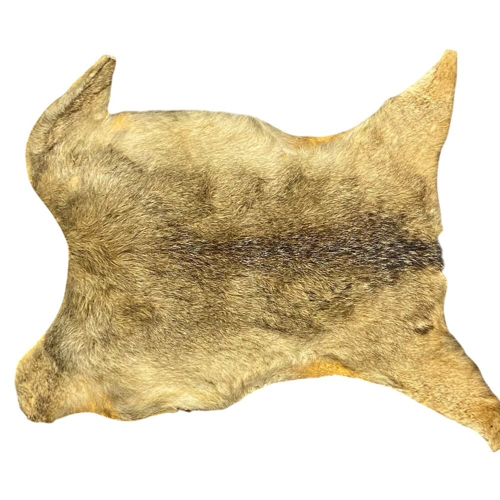 Natural Domestic Goat Hide Taxidermy Fur Rug Tan Dark Brown Goatskin 24X19"